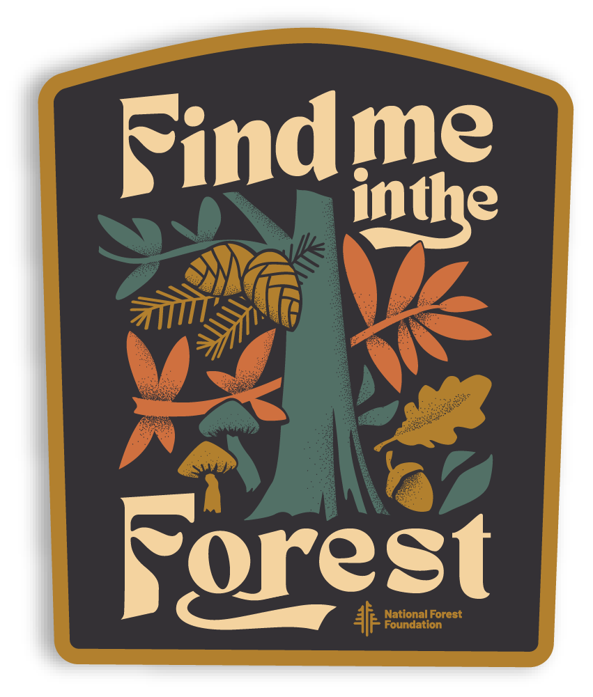 Find Me in the Forest Sticker
