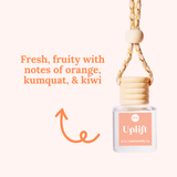 Car Diffusers | Spring & Summer Scents