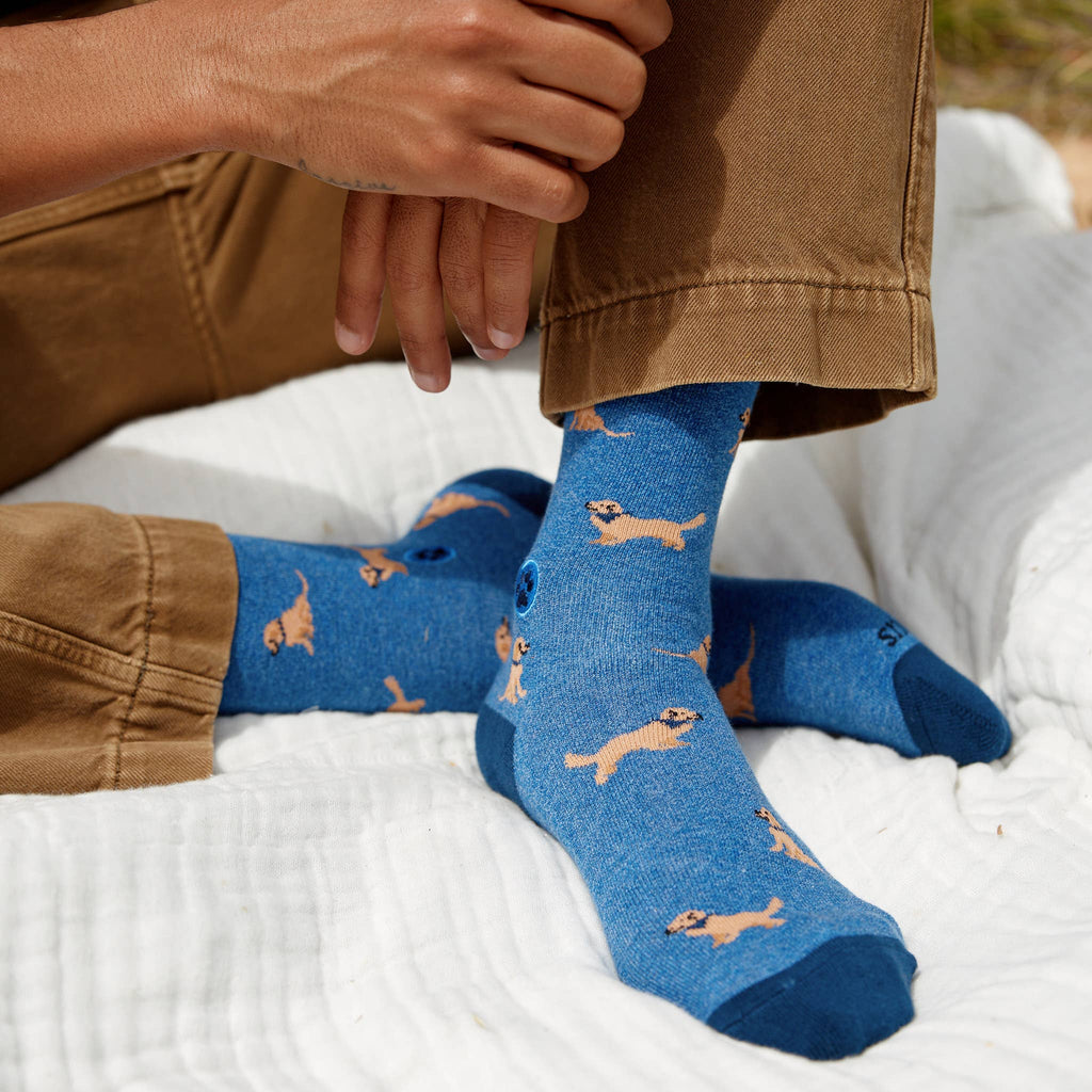 Socks that Save Dogs (Blue Golden Retrievers)