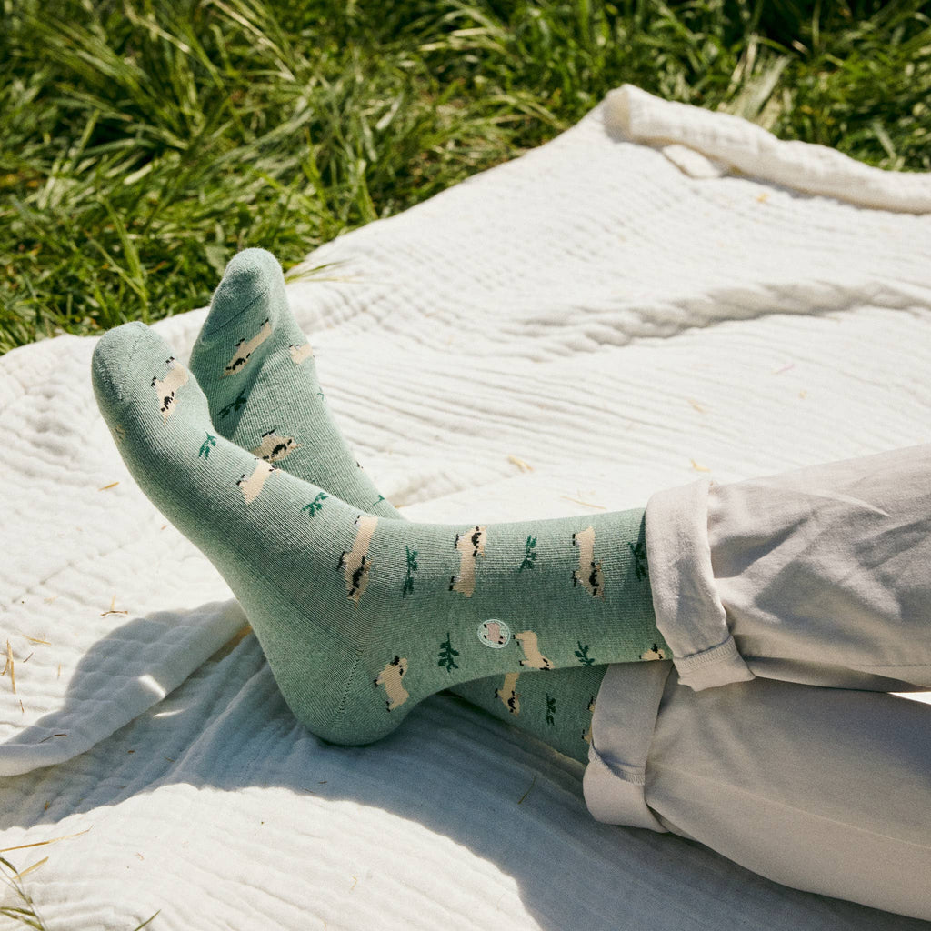 Socks that Save Sheep