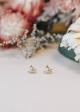 Socialite - Double Stud Stack