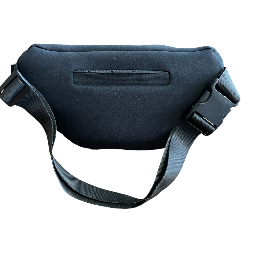 Fanny best sale pack best
