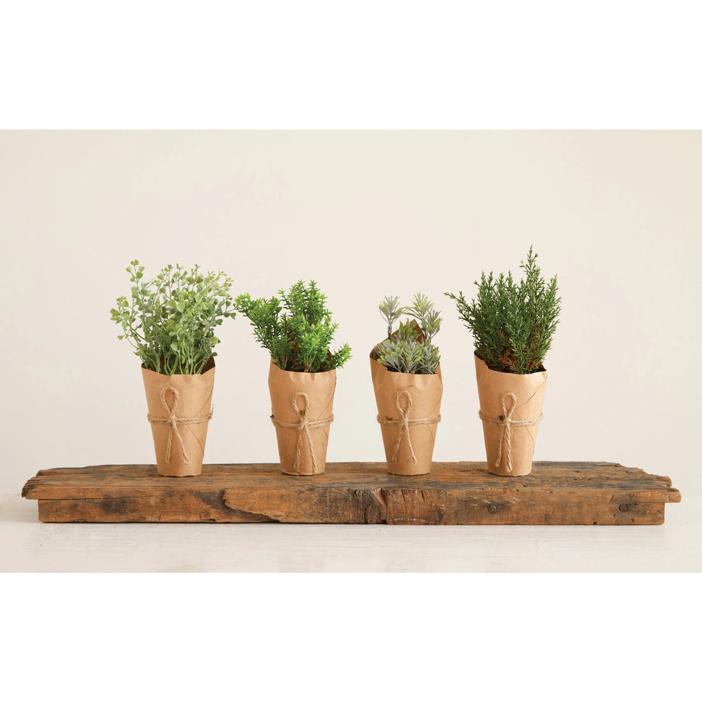 Paper Wrapped Plant