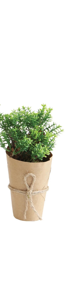 Paper Wrapped Plant