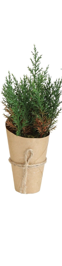 Paper Wrapped Plant
